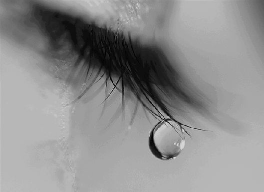 www_antoloji_com_685713_832.JPG
