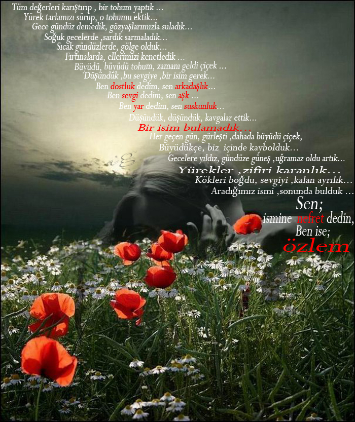 www antoloji com 1508514 273