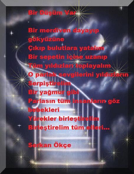 www antoloji com 1302121 816