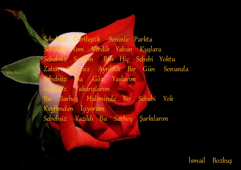 www antoloji com 1503531 622