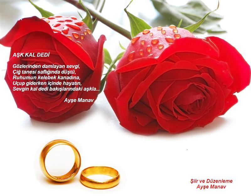 Aşk Kal Dedi