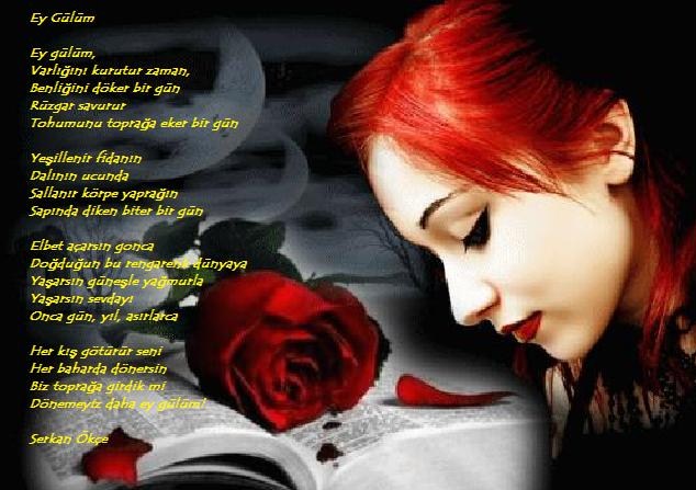 www antoloji com 721438 839