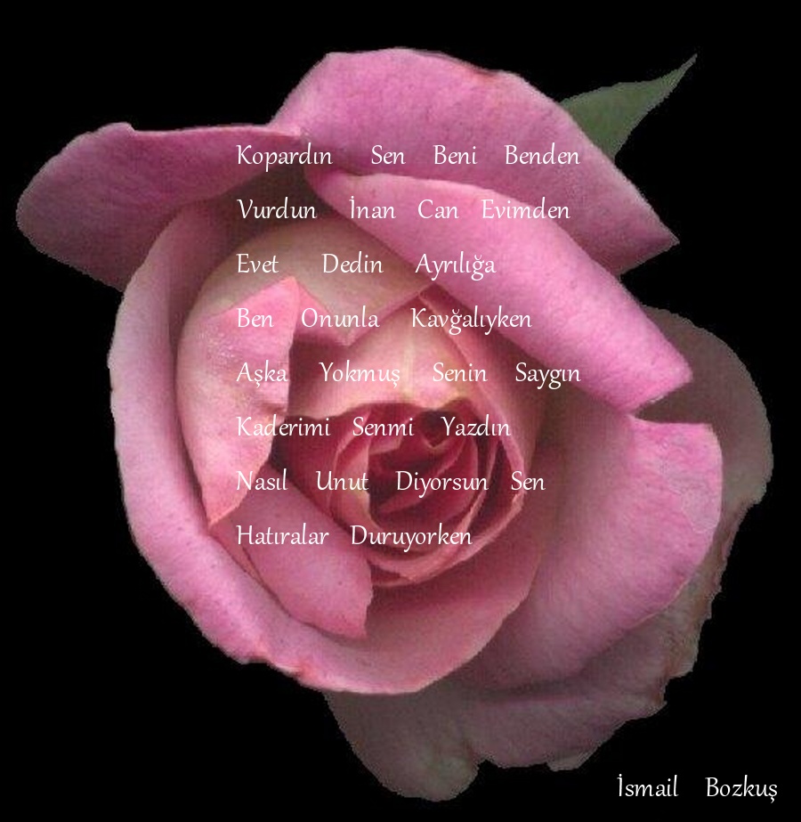 www antoloji com 1504157 497