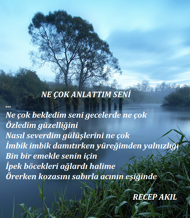 www antoloji com 1141758 597