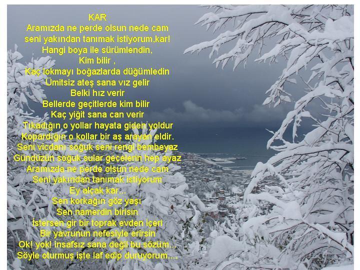 www antoloji com 301869 660