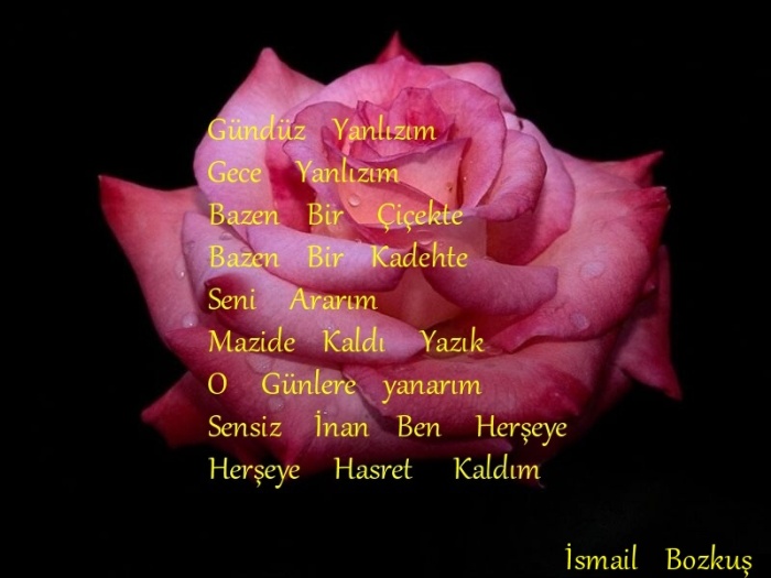 www antoloji com 1496480 773