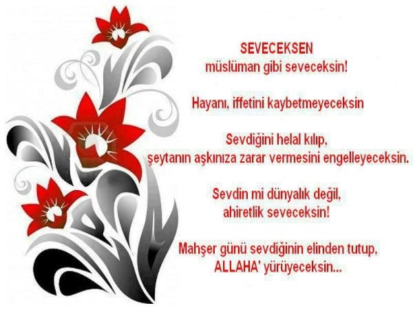 Misafirim Bu Hanede