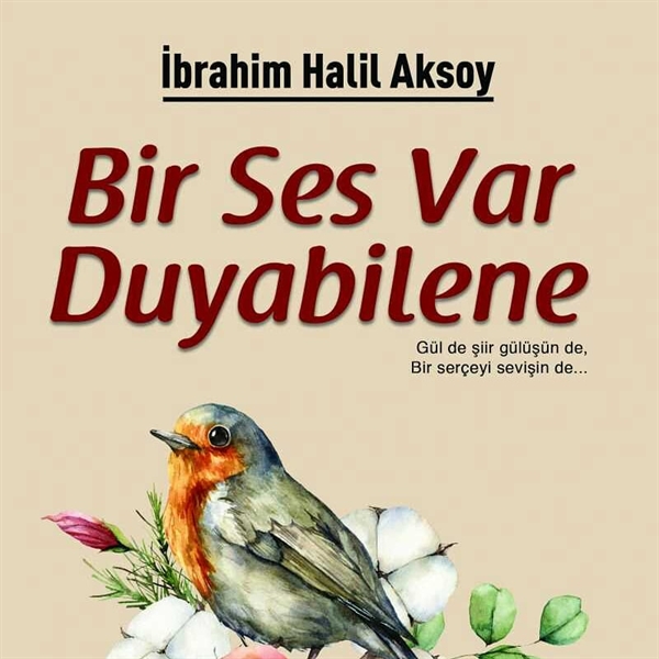 Ibrahim Halil Aksoy