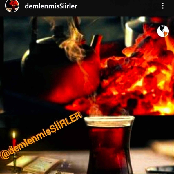 Demlenmiş Şiirler