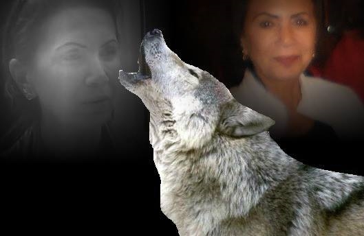 Nesrin Asena