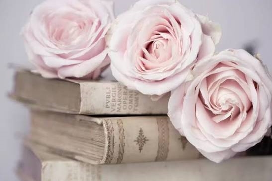 Nesrin Özdemir Saldıran