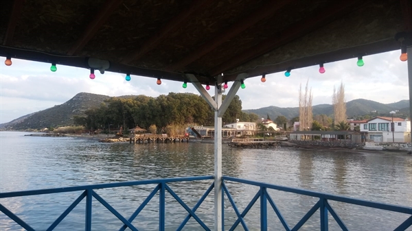 Tuğba Aydın