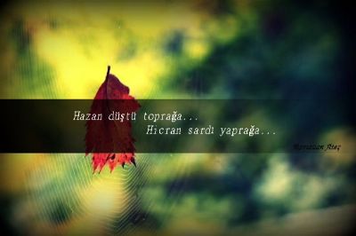 Sonbahar Melodisi