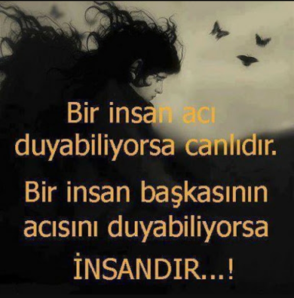 Tuncay Erciyes