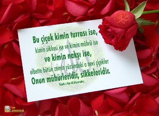 Eylül Akın
