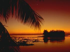 Halil Küçükbiltekin