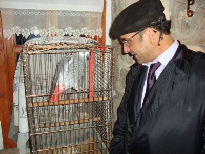 Metin Başol