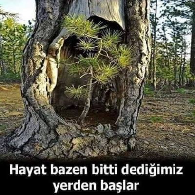 Yalnız Can