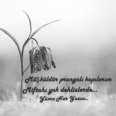 Yüsra Nur Yazıcı