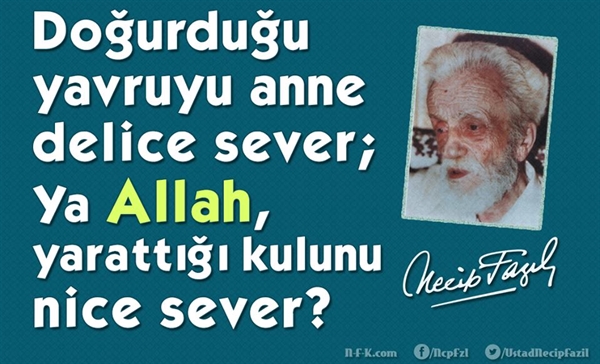 Yusuf Ayhan