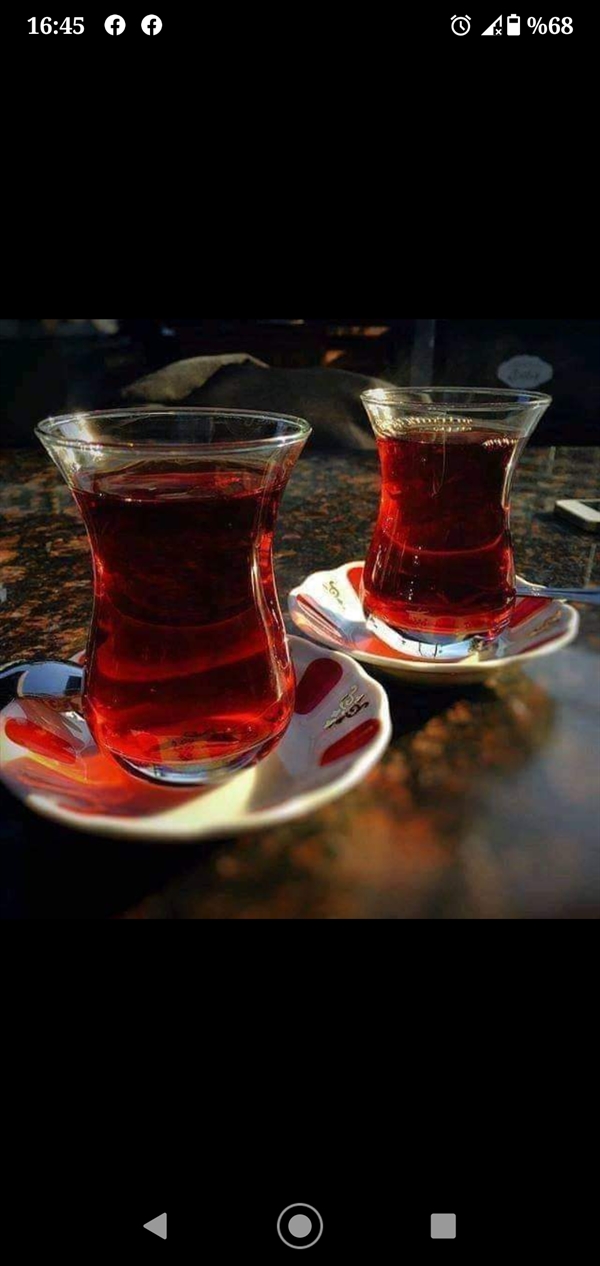 Murat Erdoğan