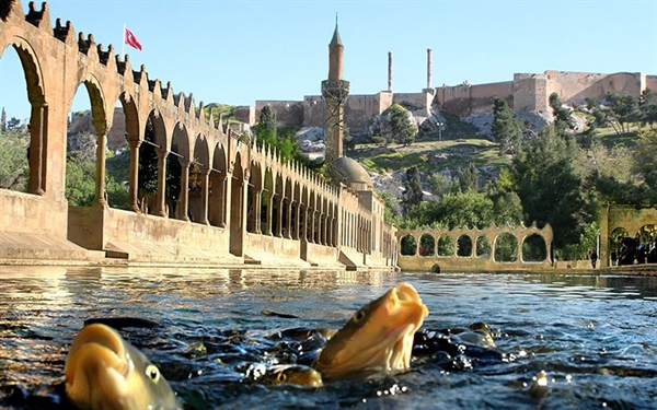 Yunus Çoban