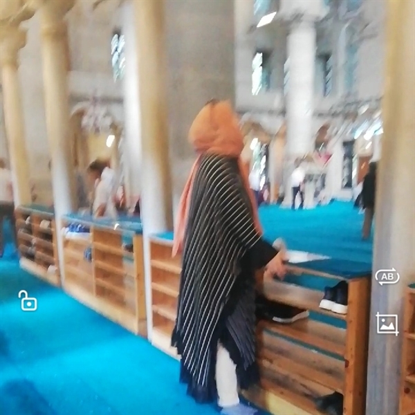 Asosyal Sosyolog