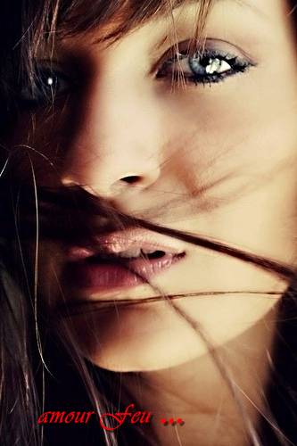 Amour Feu