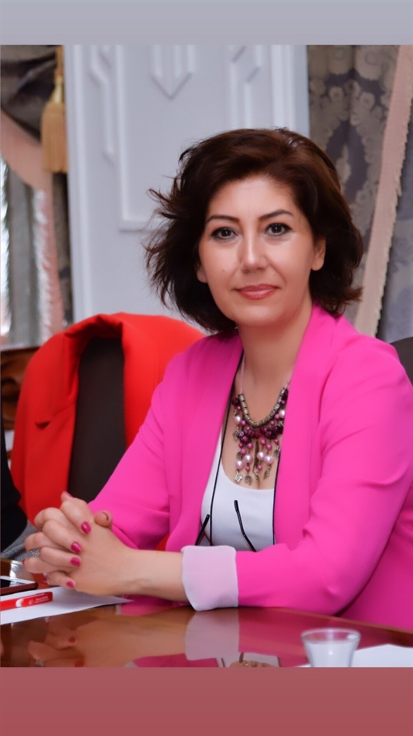 Ayşe Gülçin İlhan