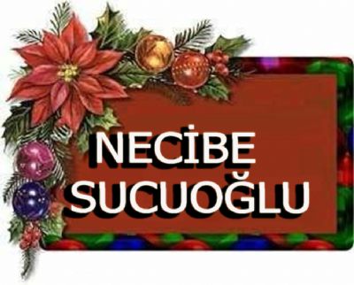 Necibe Sucuoğlu