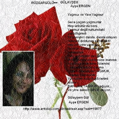 Ayşe Ergen Gülayşem