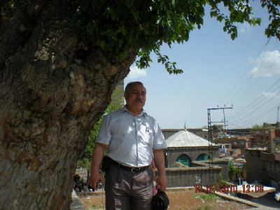 Mehmet Arifler
