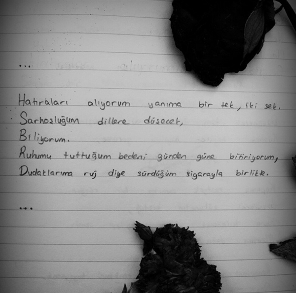 Nurcan Düzenli