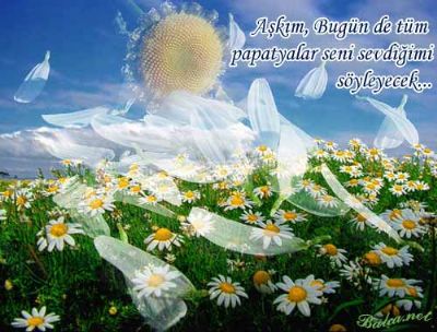 Nurcan Gürkan