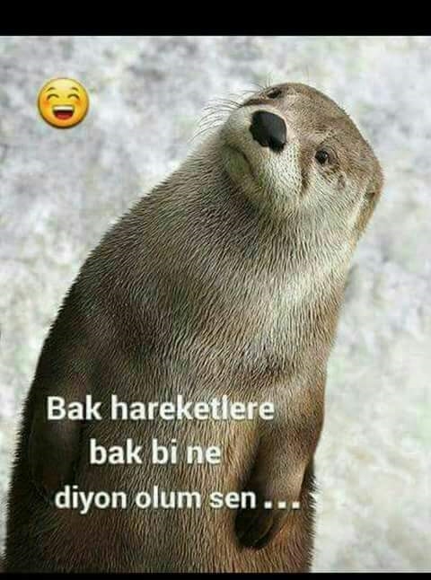 Canan Can