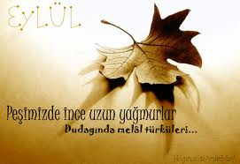 Mahser Yıldırım