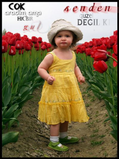 Zilan Akgün