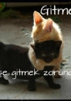 Esin Gökçelik