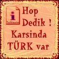 Hepinizim