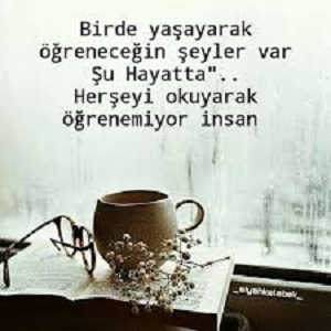 Arzu Meva
