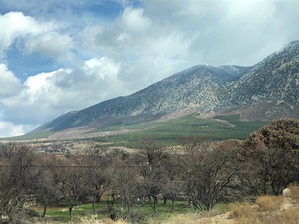 Abdurrahman Kemal Billurcu