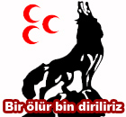 Çağrı Kopar