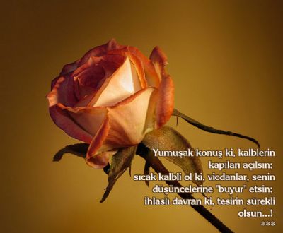 Zübeyde Cansiz