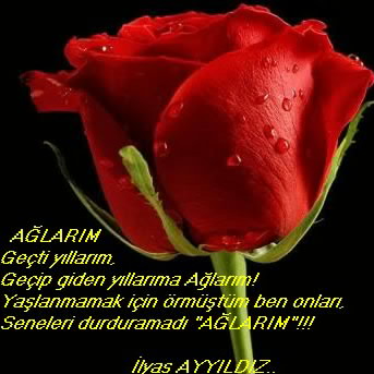 İlyas Ayyildiz