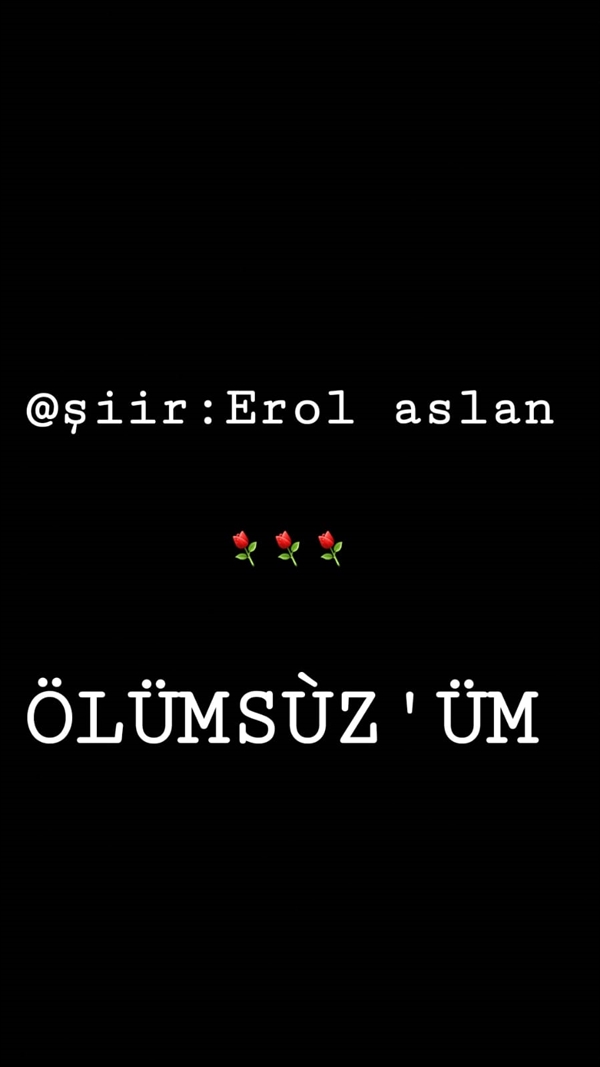 Erol Aslan