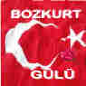 Bozkurt Gülü