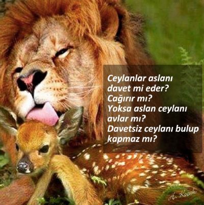 Yasemin Anday