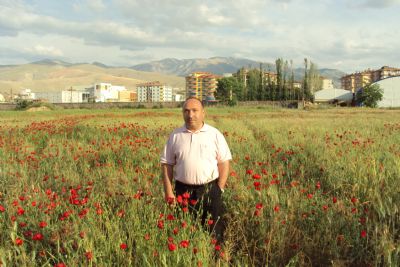 Bekir Sami Dalar