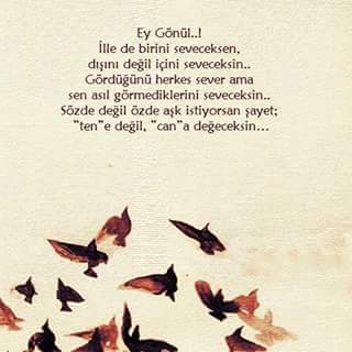 Son Bakış