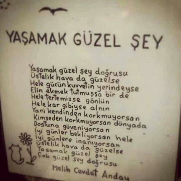 Sude Demir